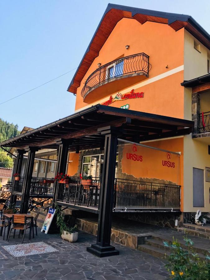 Pensiunea Montana Borsa Mm Băile Borşa Exterior foto