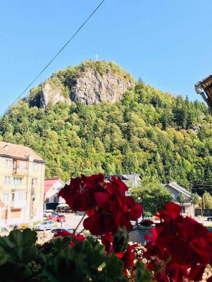 Pensiunea Montana Borsa Mm Băile Borşa Exterior foto