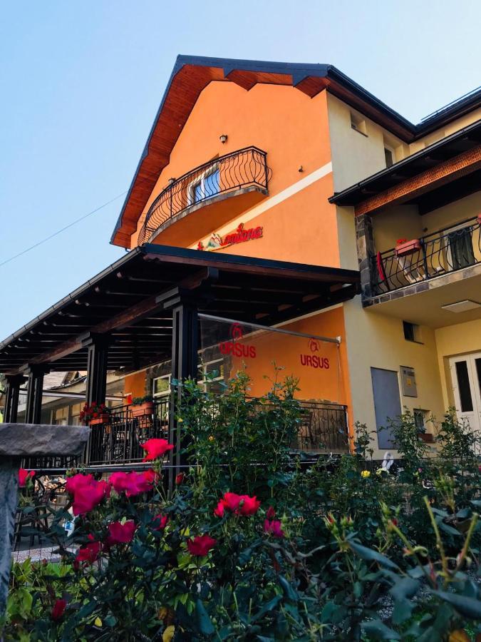 Pensiunea Montana Borsa Mm Băile Borşa Exterior foto